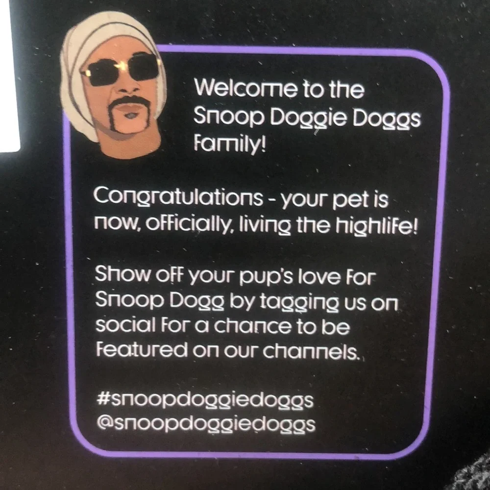 NWT Snoop Dog Chain Dog Hoodie S